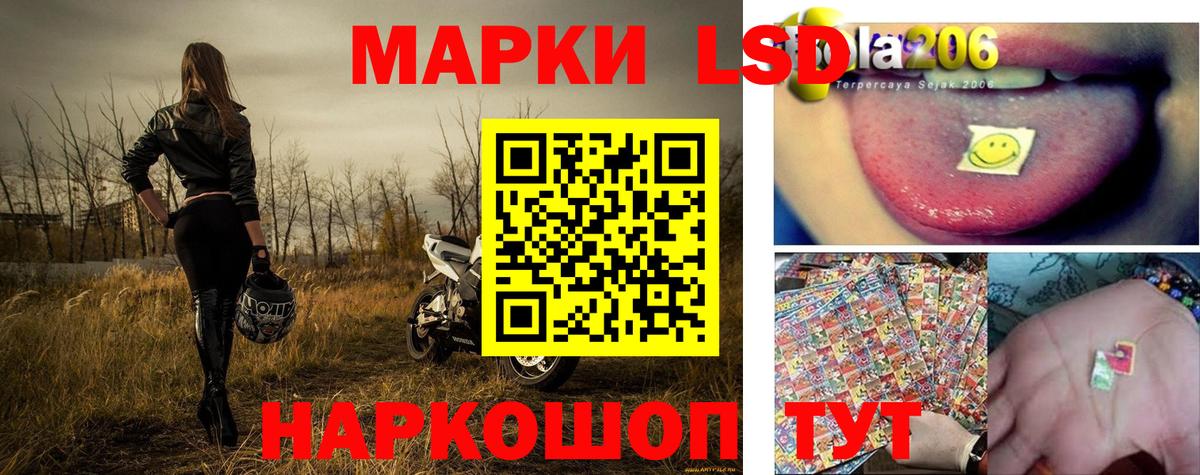 продажа наркотиков  Наркотические марки 1,8мг  Вход с VPN  Новотроицк 