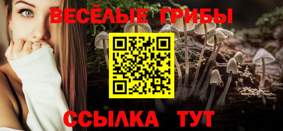Галлюциногенные грибы Psilocybine cubensis Новотроицк