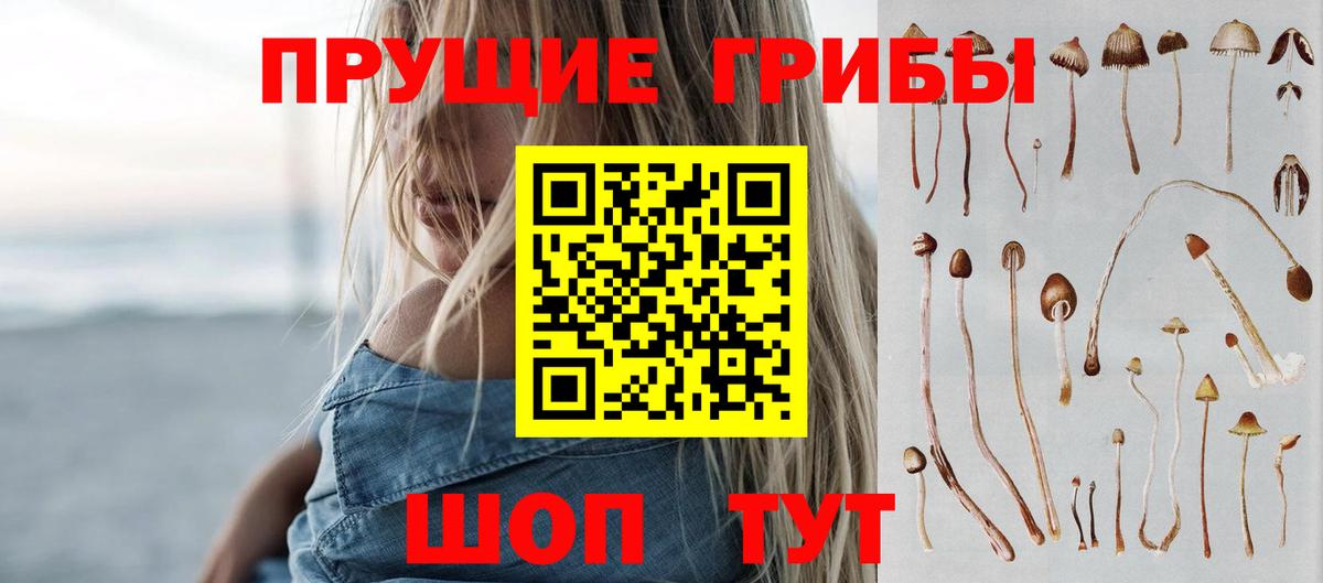 Псилоцибиновые грибы GOLDEN TEACHER  Галлюциногенные грибы прущие грибы  Вход с VPN  Новотроицк 